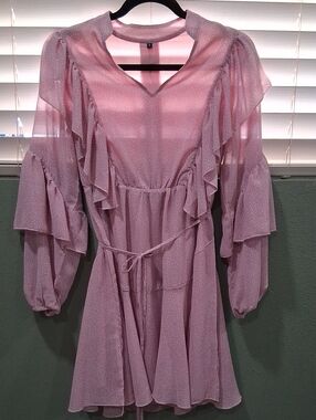 Amazon Pink Ruffled Chiffon Mini Dress